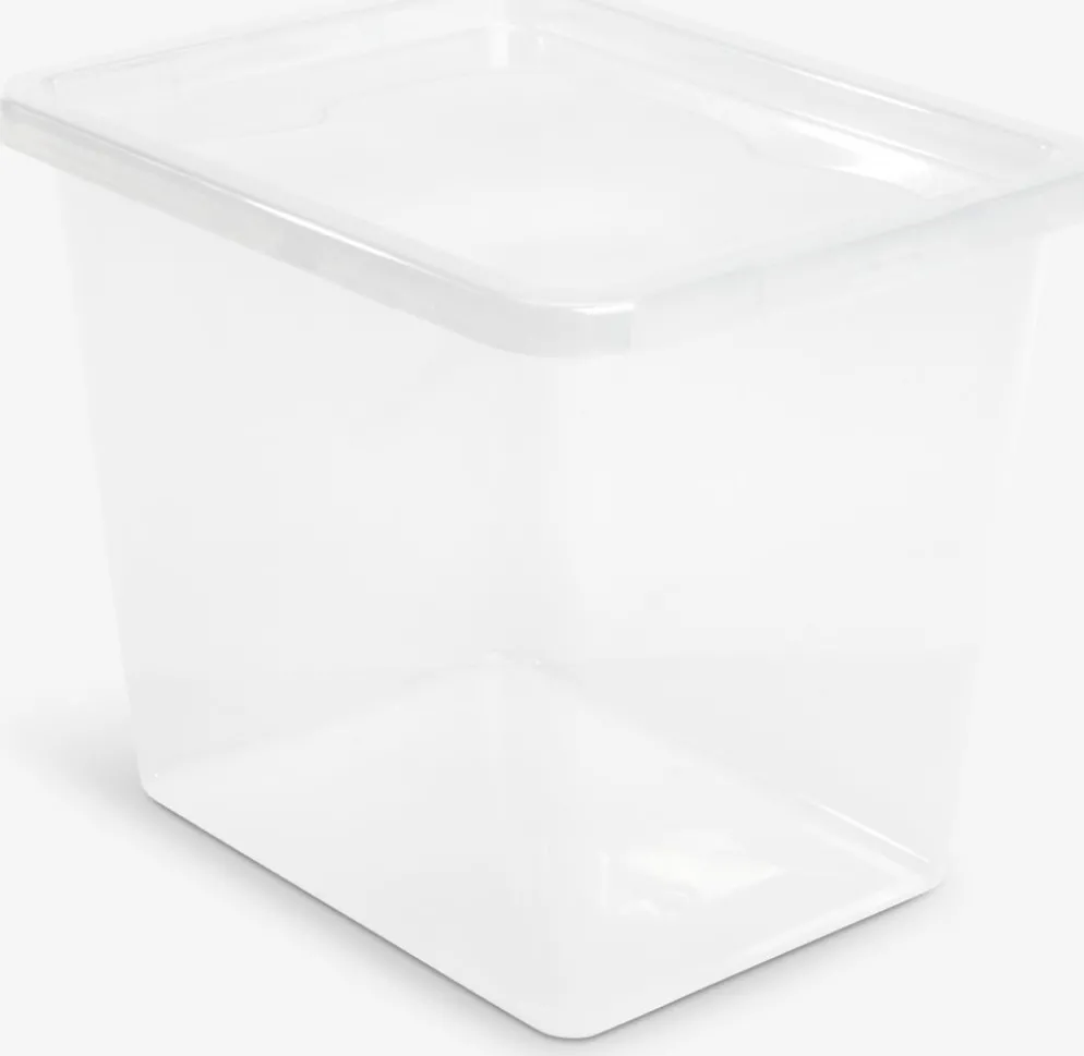 BASIC BOXBoîte de rangement BASIC BOX 31L a/couvercle transparent