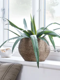 CELIUSPlante artificielle CELIUS H65cm aloe vera
