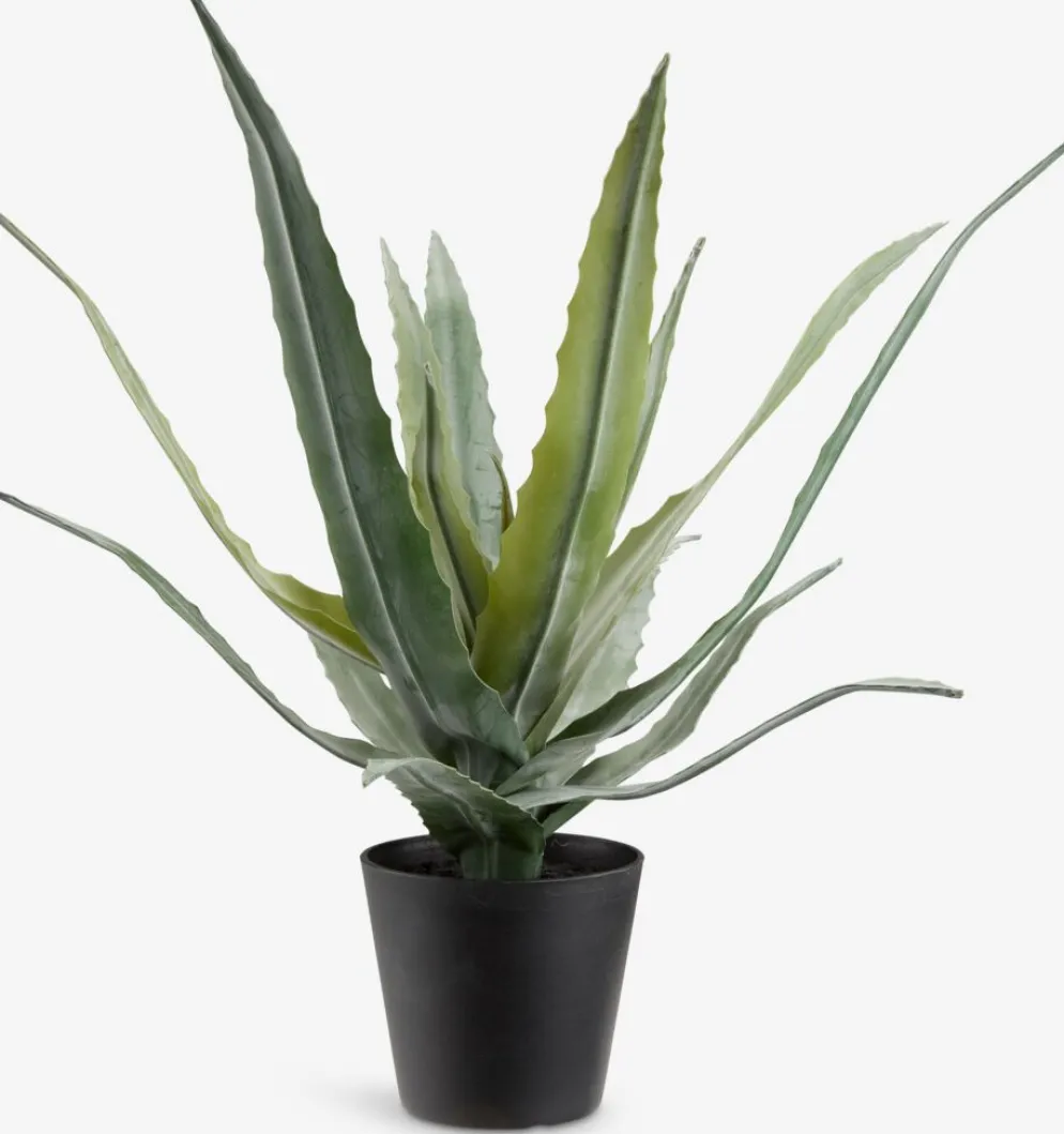 CELIUSPlante artificielle CELIUS H39cm vert