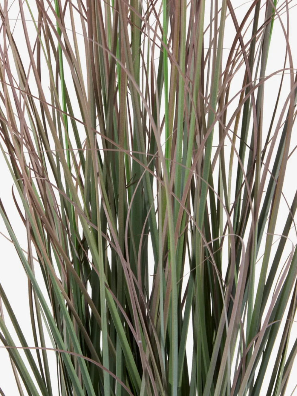 EDERFUGLPlante artificielle EDERFUGL H80 herbe verte