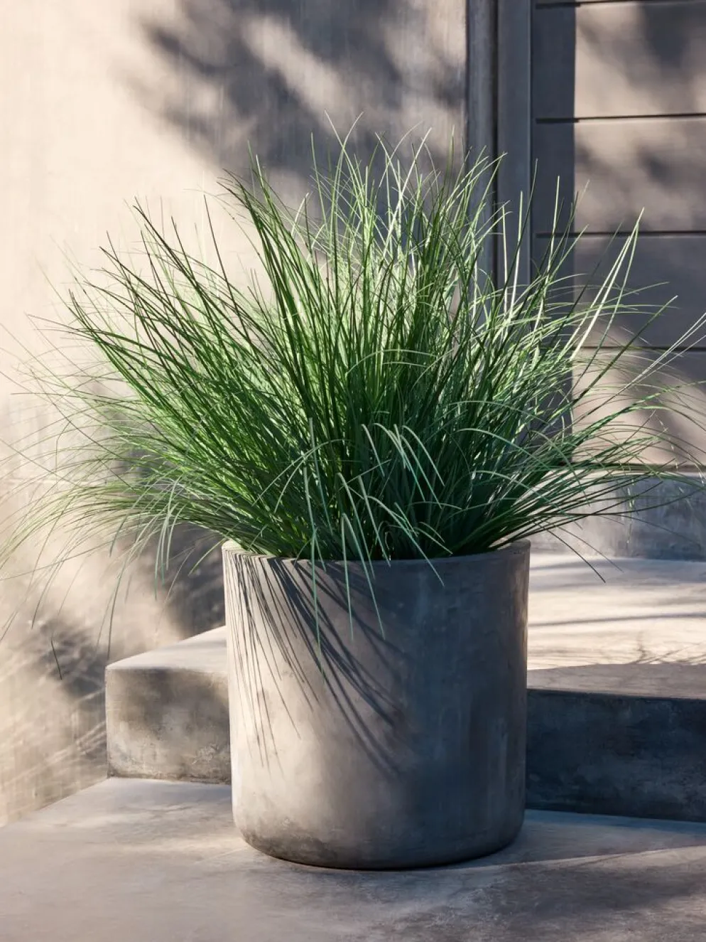 HAVELLEPlante artificielle HAVELLE H65cm herbe verte