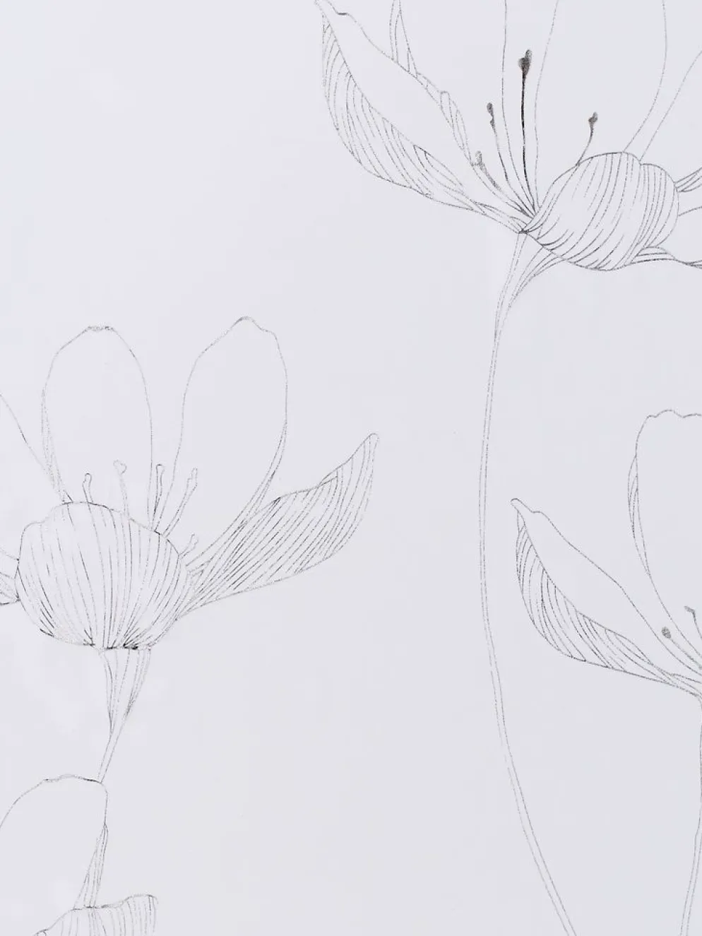 HESSARideau HESSA 1x140x300 argenté/blanc
