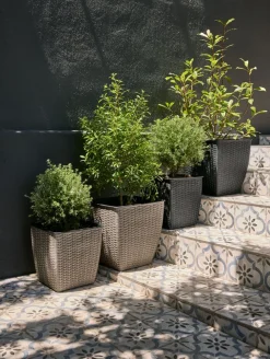 ISLOMPanier pour plantes ISLOM 31x31x32 naturel