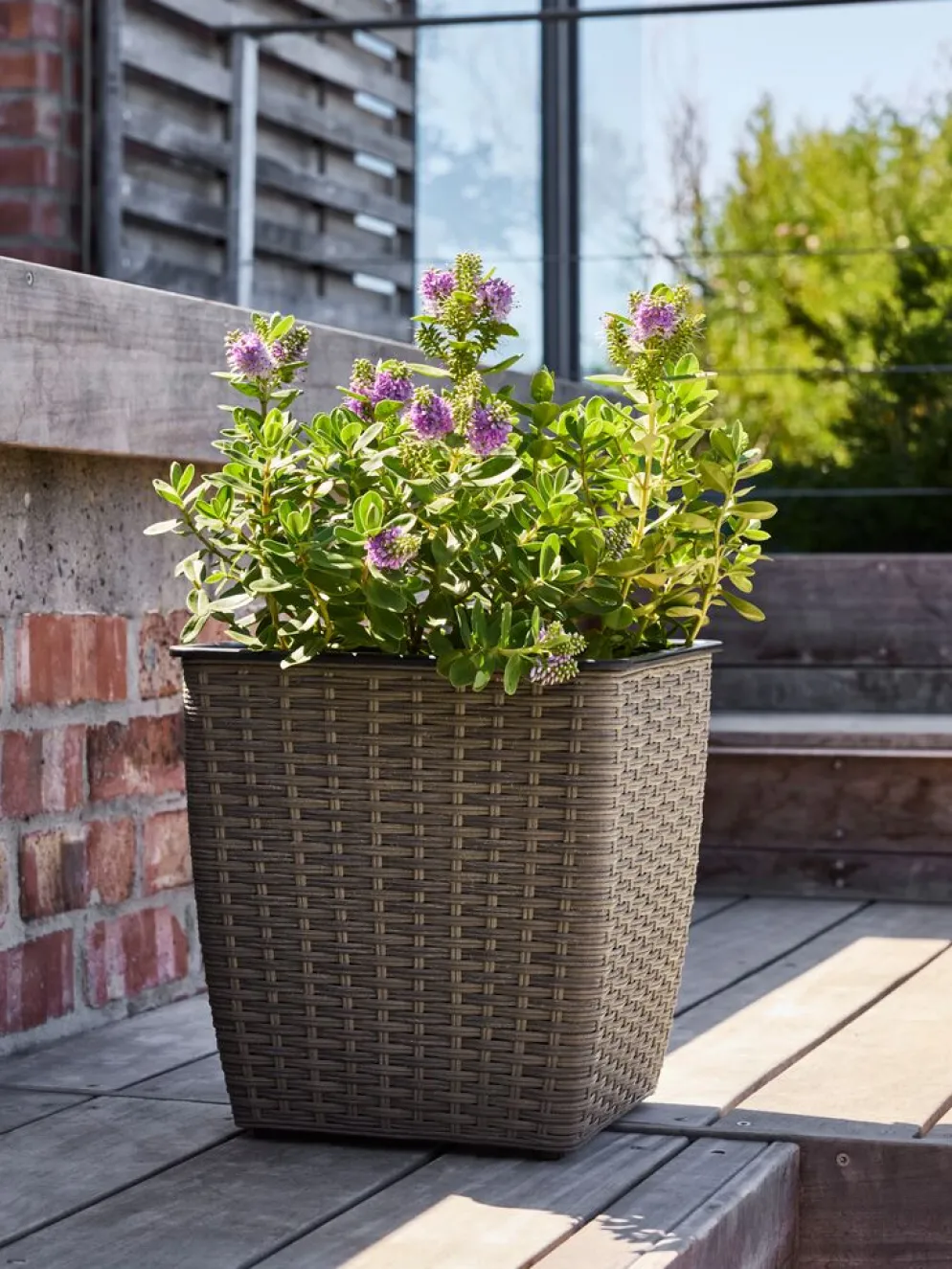 ISLOMPanier pour plantes ISLOM 31x31x32 naturel