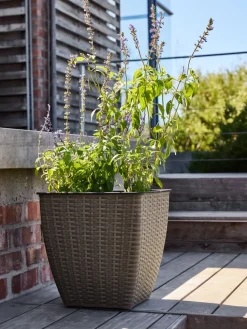 ISLOMPanier pour plantes ISLOM 38x38x39 naturel