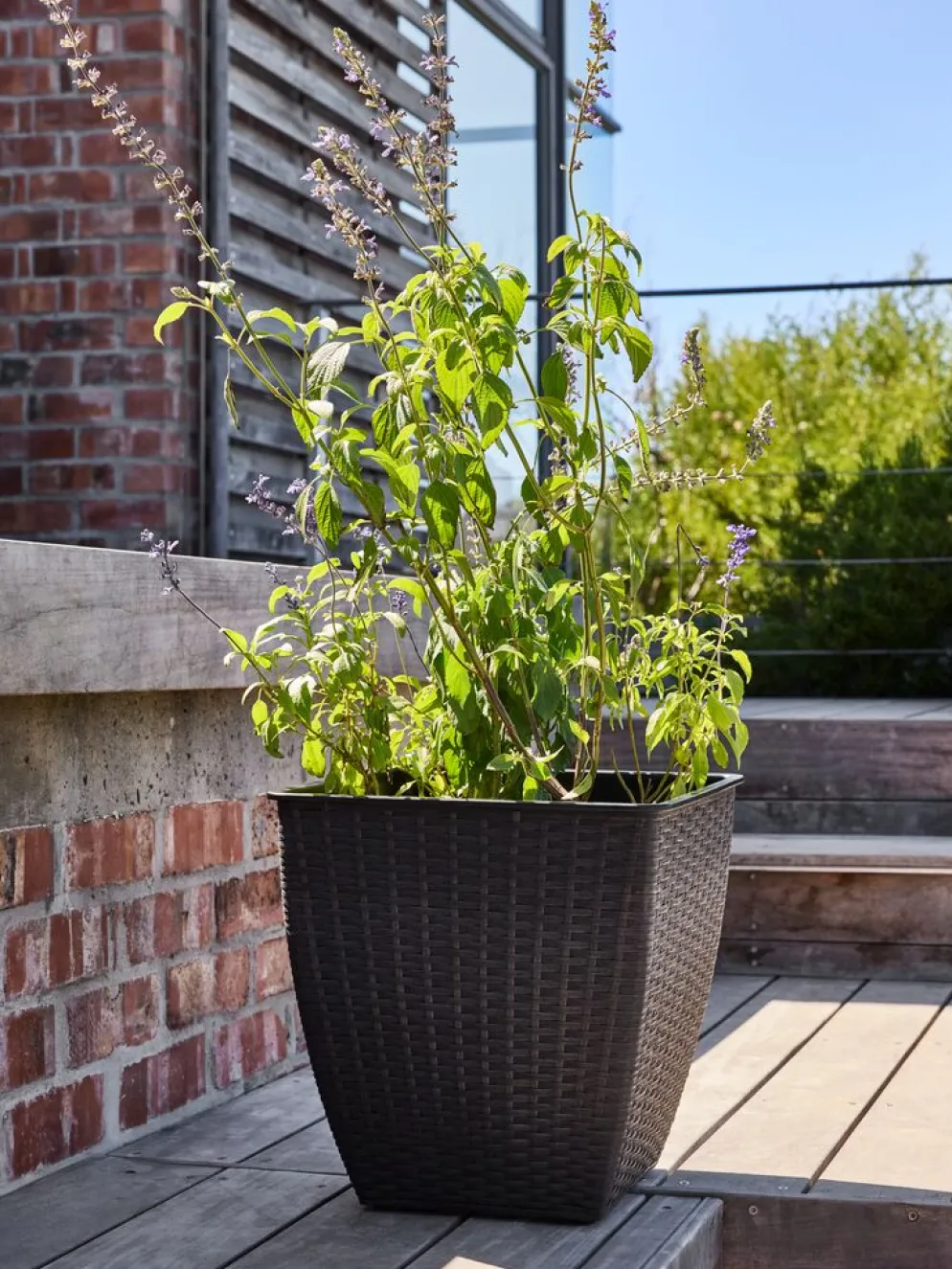 ISLOMPanier pour plantes ISLOM 38x38x39 noir