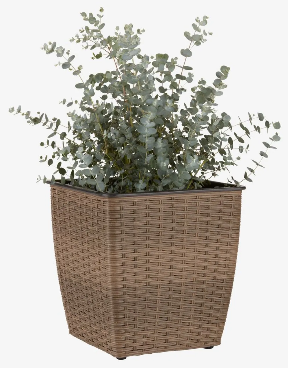 ISLOMPanier pour plantes ISLOM 31x31x32 assorti