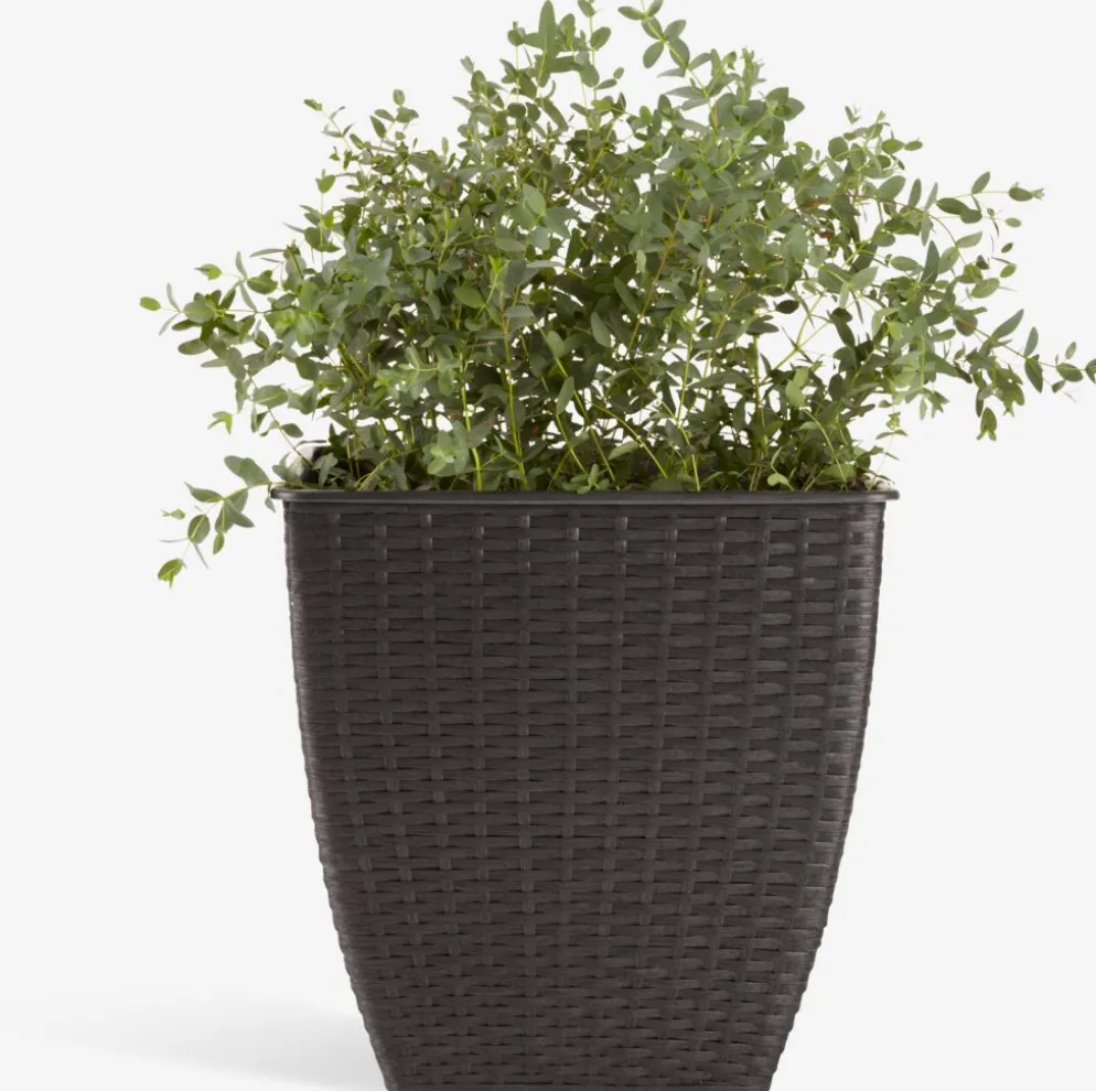 ISLOMPanier pour plantes ISLOM 38x38x39 assorti