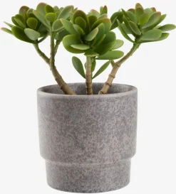 JOSTEINPlante artificielle JOSTEIN H23cm vert