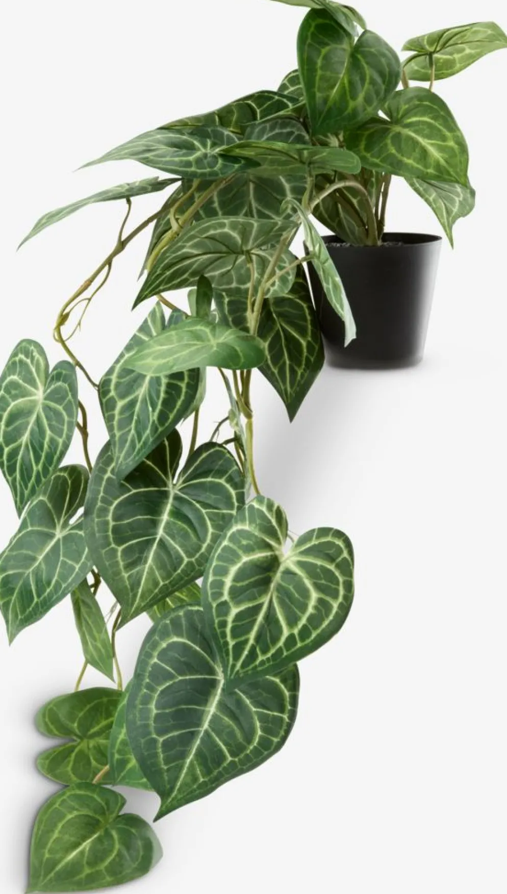 KNOPPSVANEPlante artificielle KNOPPSVANE H30cm vert