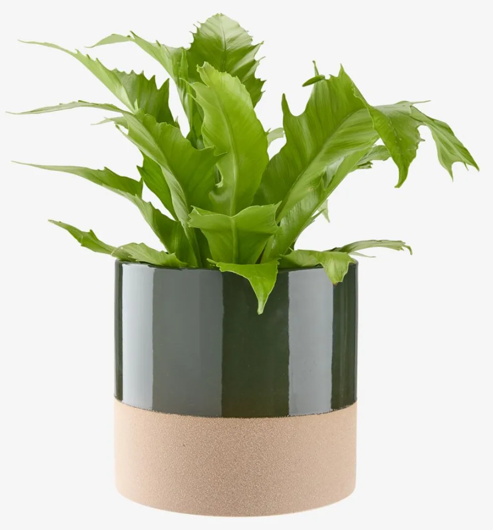 KRAGEBac à fleurs KRAGE Ø16xH15 vert foncé