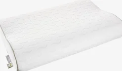 KYRKJAGoldOreiller mousse à mémoire de forme 40x60x11/9 WELLPUR KYRKJA