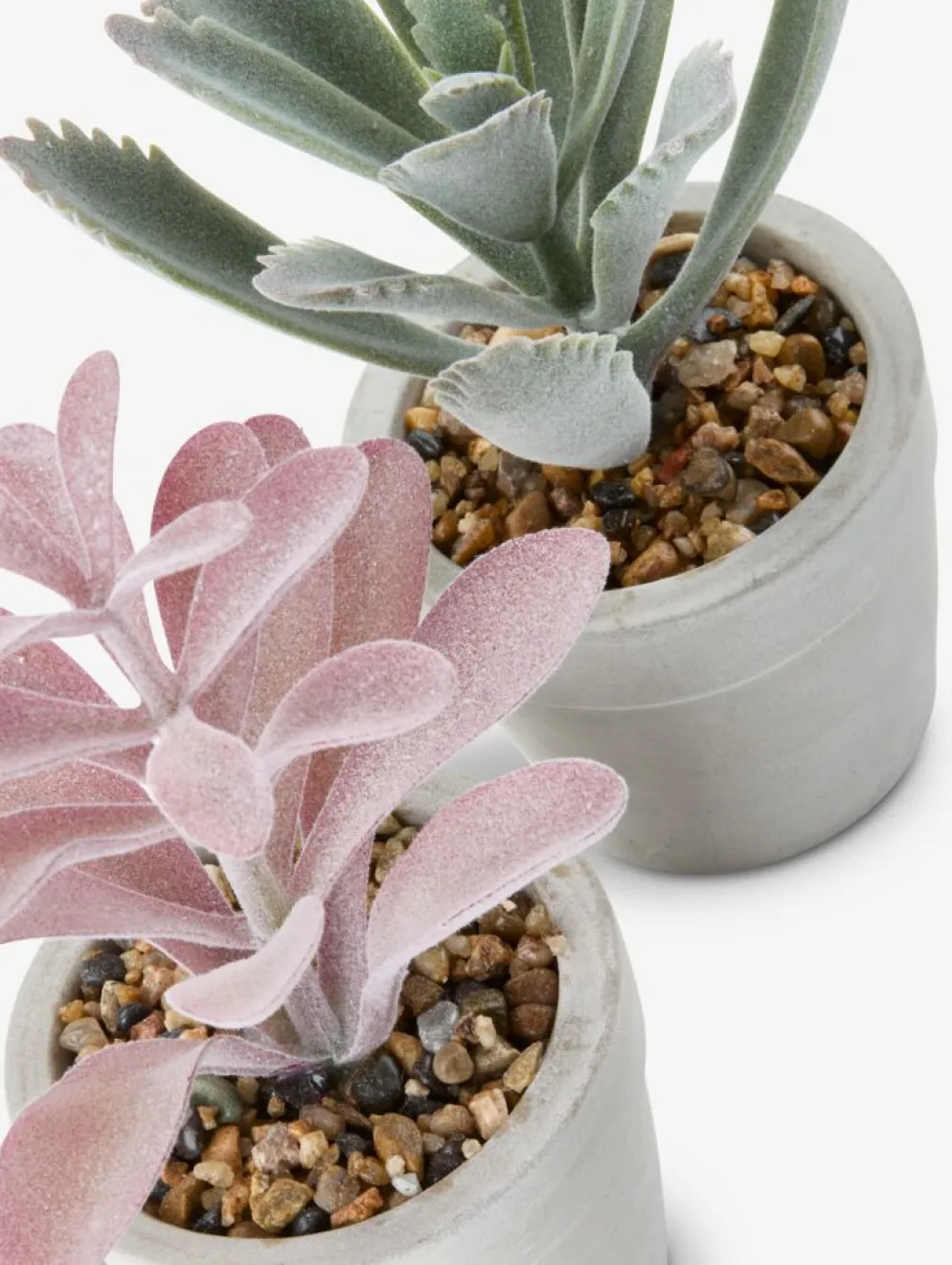 LOVEPlante artificielle LOVE Ø7xH15 ass.