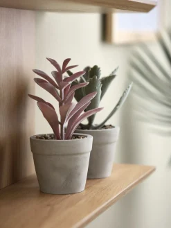 LOVEPlante artificielle LOVE Ø7xH15 ass.