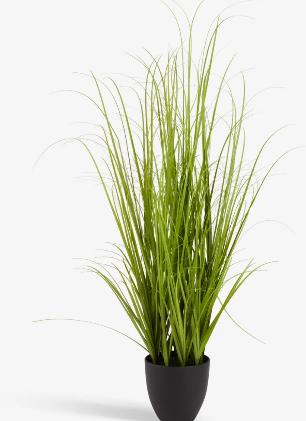 MARKUSFLUEPlante artificielle MARKUSFLUE H150cm herbe vert