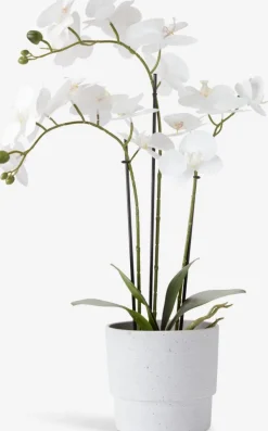 MATINUSPlante artificielle MATINUS H62cm orchidée blanche