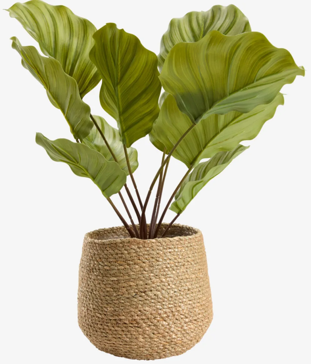 SEVERINCache-pot SEVERIN Ø20xH17cm naturel