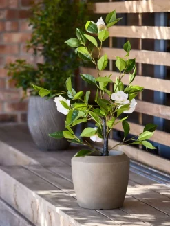 SOLOPGANGPlante artificielle SOLOPGANG H80 rose blanche