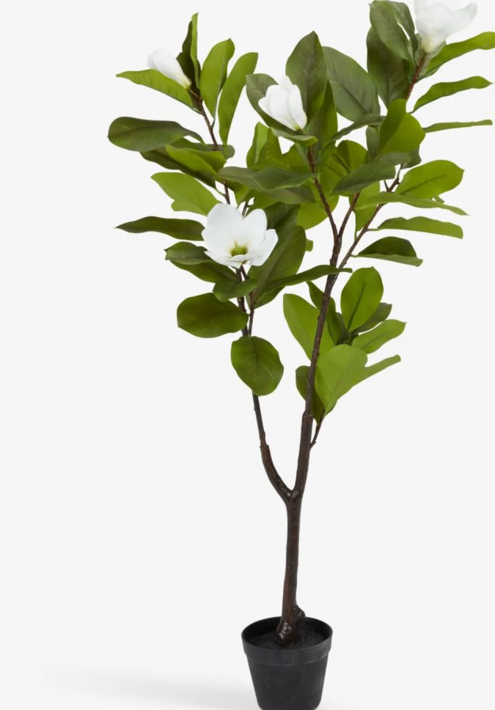 SPINDELPlante artificielle SPINDEL H120cm magnolia vert/blanc