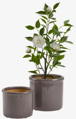 STORKBac à fleurs STORK Ø28/24 raisin poudré 2pcs/lot